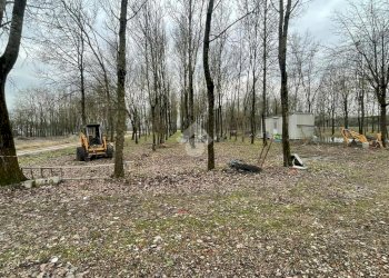 Terreno agricolo Via Tolara di Sopra, Ozzano dell'Emilia - foto 14