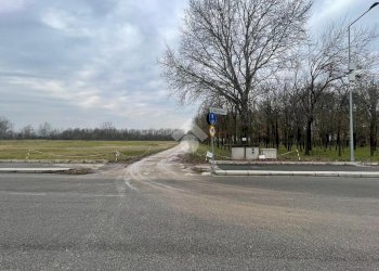 Terreno agricolo Via Tolara di Sopra, Ozzano dell'Emilia - foto 15