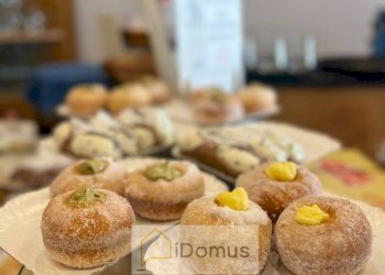 Foto 9 - Attività Commerciale tosco romagnola, Cascina - foto 9