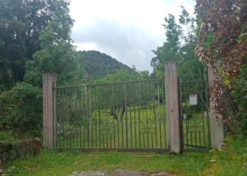 Foto 18 - Casa indipendente Via San Sebastiano 1 Traversa, Carpineto Romano - foto 18