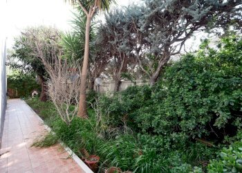 Giardino - Terraced Villa Via Conte Girolamo Giusso
19, Bari - photo 39