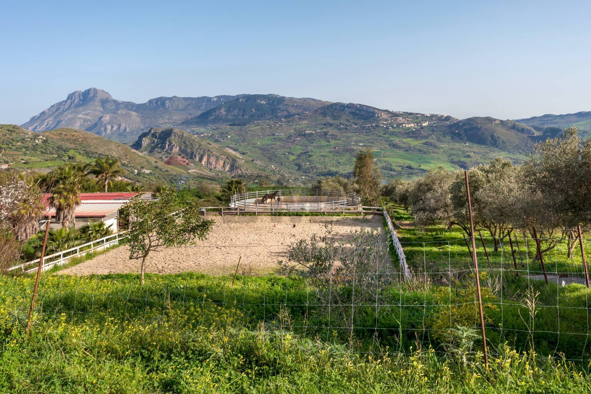 Vista delle montagne - Villa Contrada Burgio
 
SNC, Trabia - foto 2