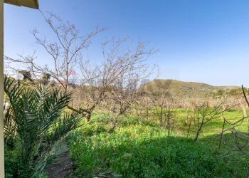 Vista delle montagne - Villa Contrada Burgio
SNC, Trabia - foto 18