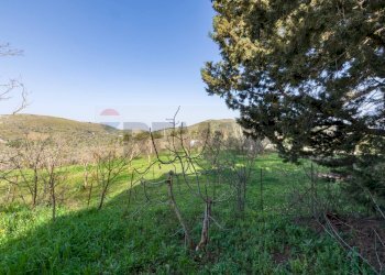 Vista delle montagne - Villa Contrada Burgio
SNC, Trabia - foto 19