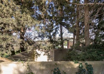 Giardino - Villa Contrada Burgio
SNC, Trabia - foto 20