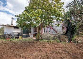 Giardino - Casa indipendente Contrada Commenda/Villaggio Corvacchio
 
snc, Caltagirone - foto 34