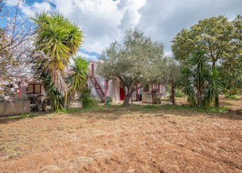 Giardino - Casa indipendente Contrada Commenda/Villaggio Corvacchio
 
snc, Caltagirone - foto 37