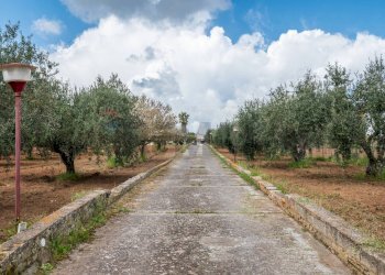 Non correlato - Casa indipendente Contrada Commenda/Villaggio Corvacchio
 
snc, Caltagirone - foto 40