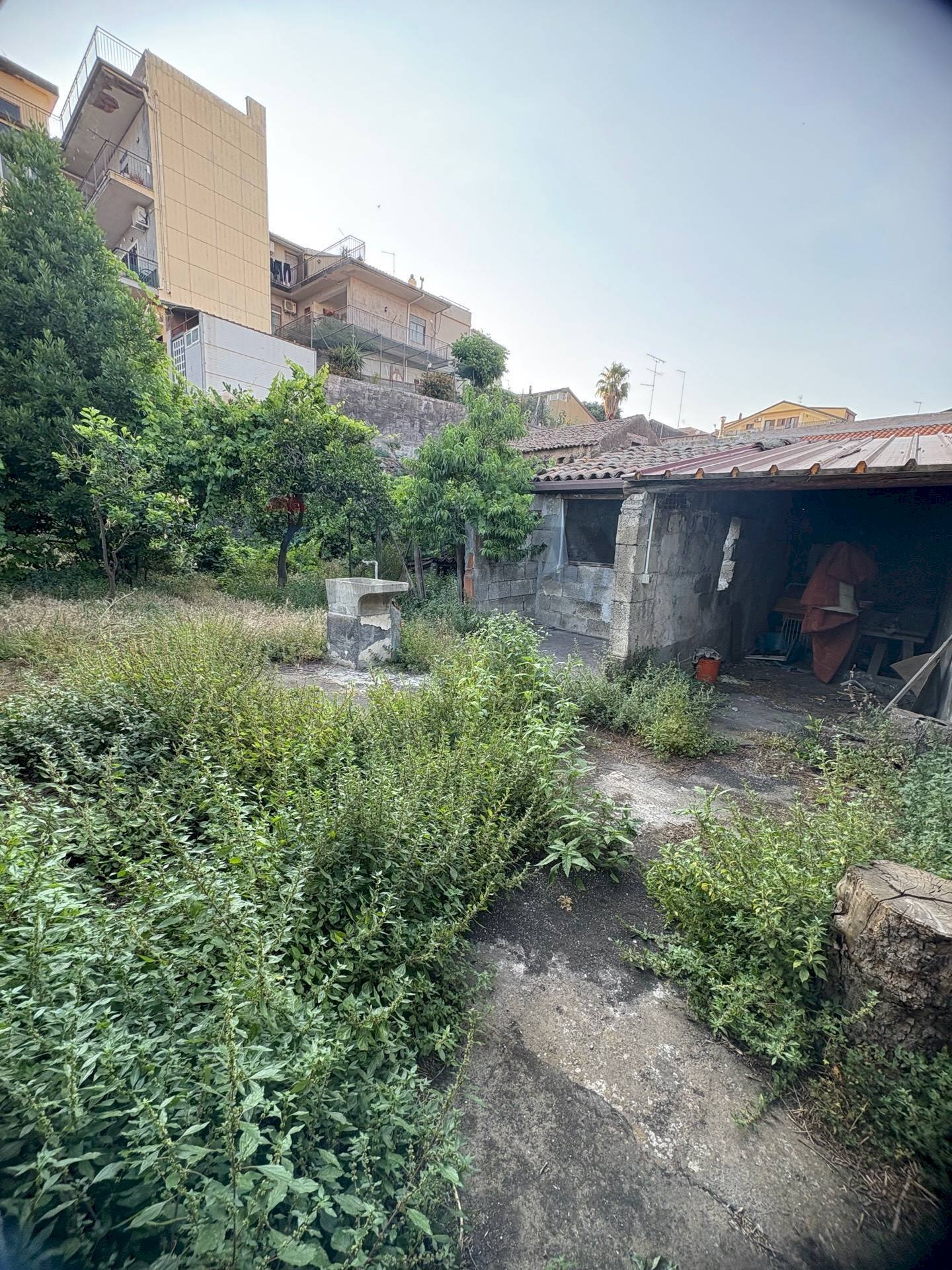 Giardino - Independent house Via III retta levante, Belpasso - photo 2