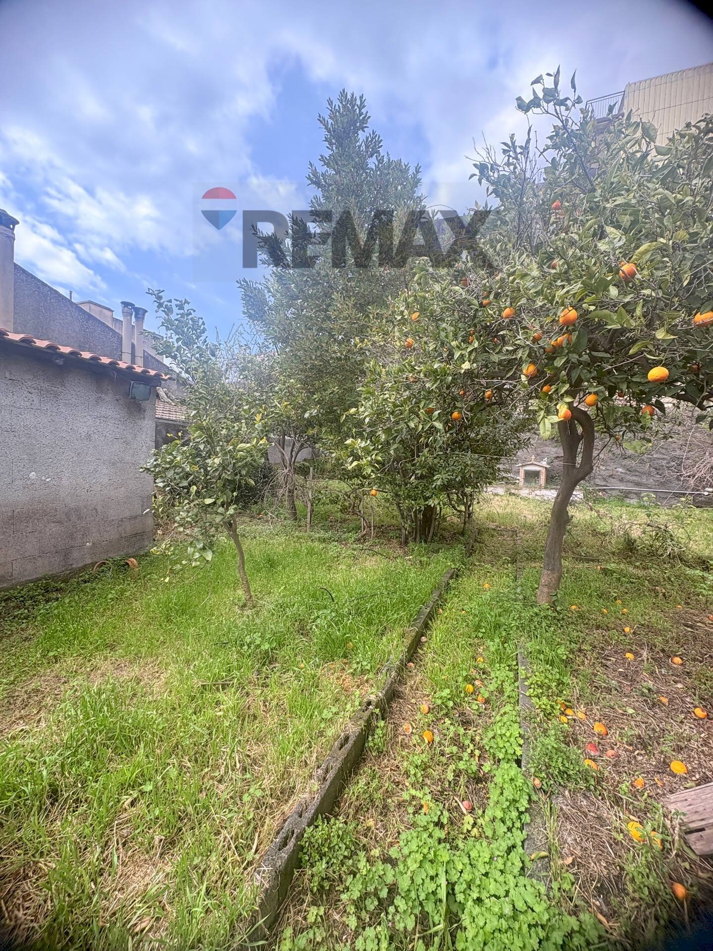 Giardino - Independent house Via III retta levante, Belpasso - photo 1