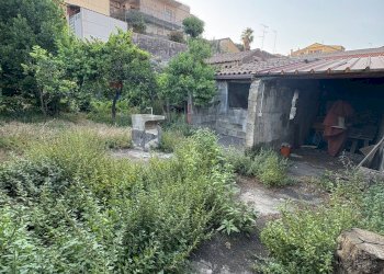 Giardino - Independent house Via III retta levante, Belpasso - photo 6