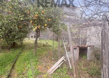 Giardino - Casa indipendente Via III retta levante, Belpasso - foto 8