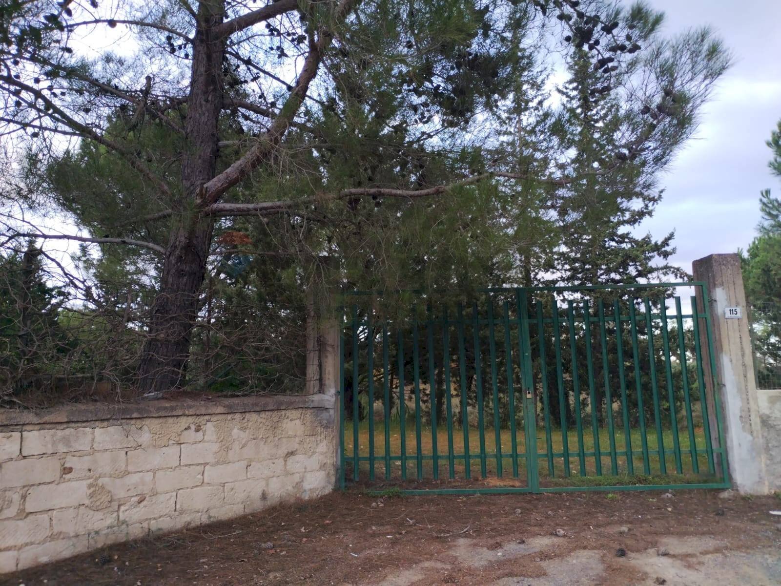 Giardino - Terreno agricolo Via Balatazze (C.da Ragansile)
 
115, Caltagirone - foto 1