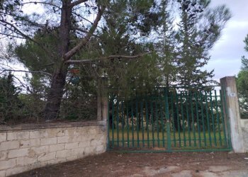 Giardino - Terreno agricolo Via Balatazze (C.da Ragansile)
 
115, Caltagirone - foto 1