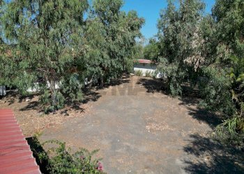 Giardino - Terreno edificabile Contrada Vulcanello
snc, Lipari - foto 9