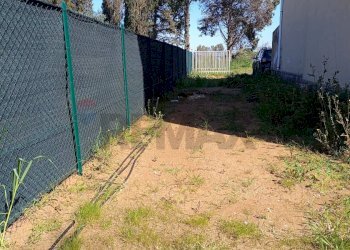 Giardino - Casa semi indipendente Aprilia - foto 4