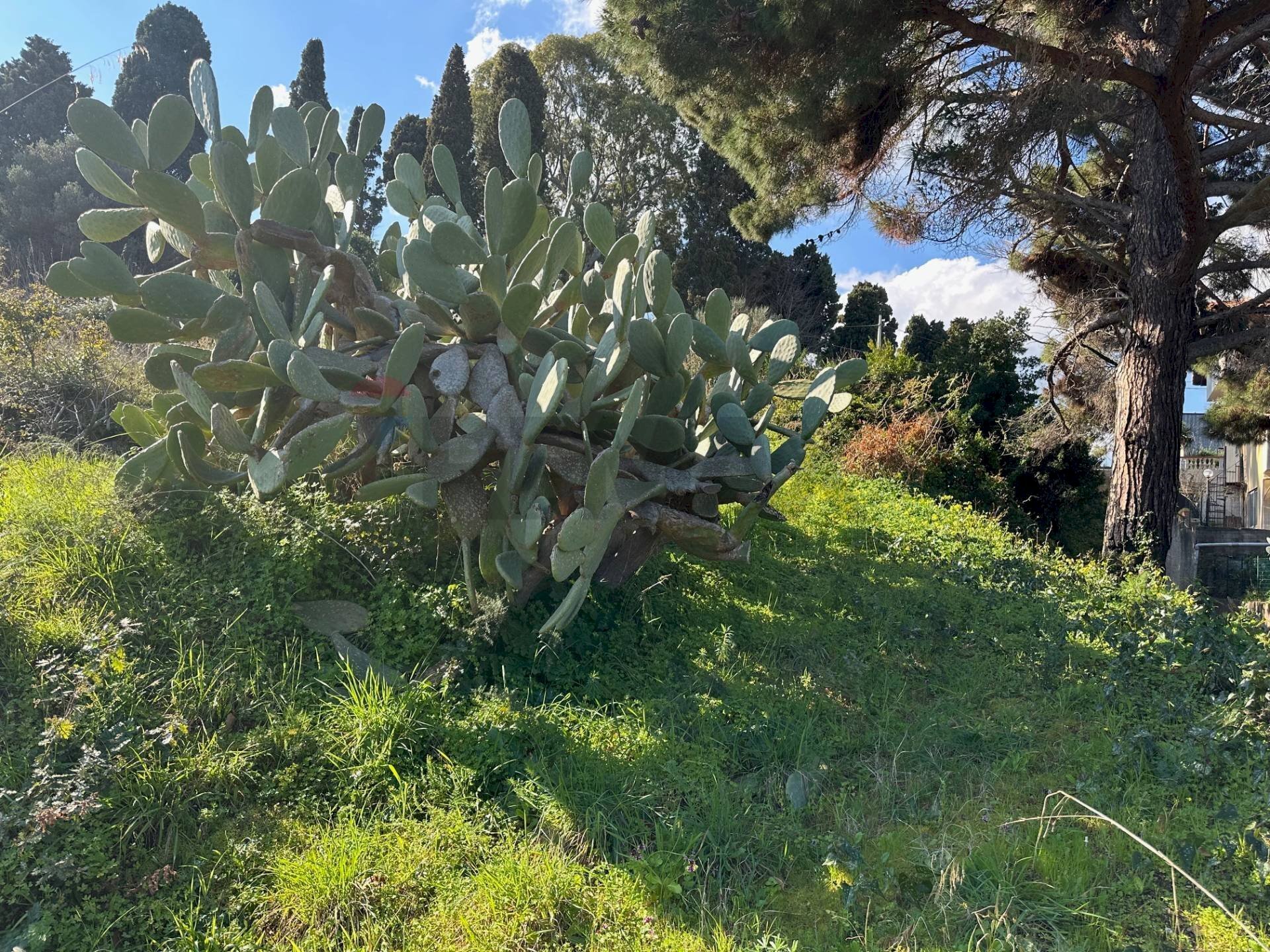 Giardino - Agricultural land Via Lecce Faro Superiore
 
snc, Messina - photo 3