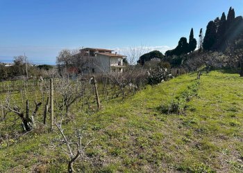 Non correlato - Agricultural land Via Lecce Faro Superiore
snc, Messina - photo 6