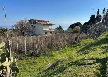 Giardino - Agricultural land Via Lecce Faro Superiore
snc, Messina - photo 8