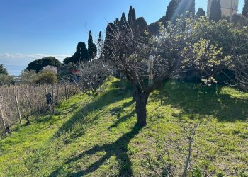 Vista delle montagne - Agricultural land Via Lecce Faro Superiore
snc, Messina - photo 9