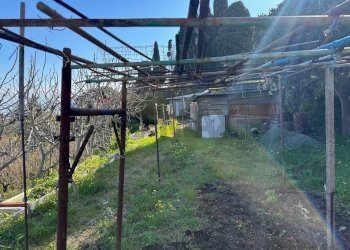 Giardino - Agricultural land Via Lecce Faro Superiore
snc, Messina - photo 10