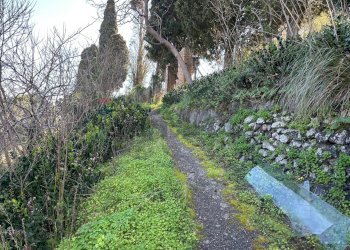 Giardino - Agricultural land Via Lecce Faro Superiore
snc, Messina - photo 14