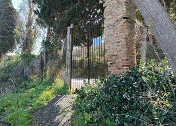 Giardino - Agricultural land Via Lecce Faro Superiore
snc, Messina - photo 15