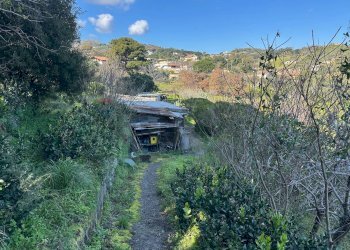 Vista delle montagne - Agricultural land Via Lecce Faro Superiore
snc, Messina - photo 16