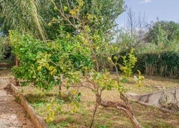 Giardino - Villa Via Marco Polo
 
7, Lariano - foto 32