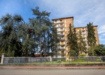 Edificio all\'aperto - Quadrilocale Via Madonna delle Grazie
 
3, Trecate - foto 24