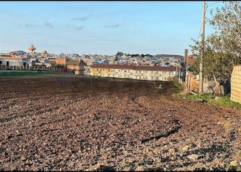 Giardino - Agricultural land Contrada Mandre Vecchie, Pachino - photo 1