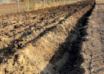 Non correlato - Agricultural land Contrada Mandre Vecchie, Pachino - photo 5