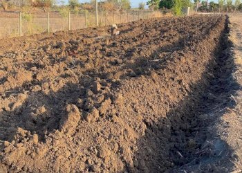 Vista delle montagne - Agricultural land Contrada Mandre Vecchie, Pachino - photo 6