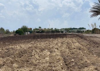 Giardino - Agricultural land Contrada Mandre Vecchie, Pachino - photo 7