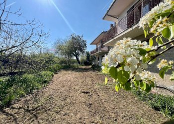 Giardino - Casa indipendente Caianello - foto 109