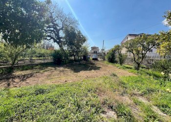 Giardino - Casa indipendente Caianello - foto 114