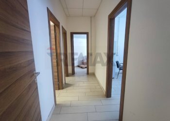 Hall / corridoio - Capannone Via Boscogangone
 
snc, Nola - foto 10