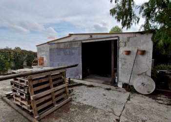 Casa all\'aperto - Casa indipendente Via Cavetto di Mezzo
 
660, Castelnovo Bariano - foto 32