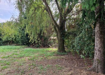 Giardino - Casa indipendente Via Cavetto di Mezzo
 
660, Castelnovo Bariano - foto 34