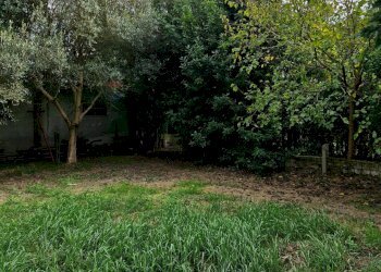 Giardino - Casa indipendente Via Cavetto di Mezzo
 
660, Castelnovo Bariano - foto 35