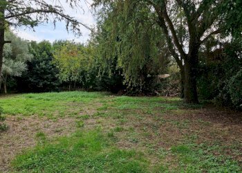 Giardino - Casa indipendente Via Cavetto di Mezzo
 
660, Castelnovo Bariano - foto 36