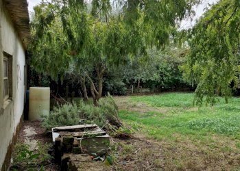 Giardino - Casa indipendente Via Cavetto di Mezzo
 
660, Castelnovo Bariano - foto 37