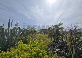 Giardino - Casa indipendente Via Cesare Licini
 
105, Ortona - foto 6