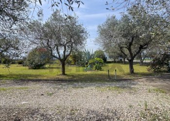 Giardino - Casa indipendente Via Cesare Licini
 
105, Ortona - foto 9