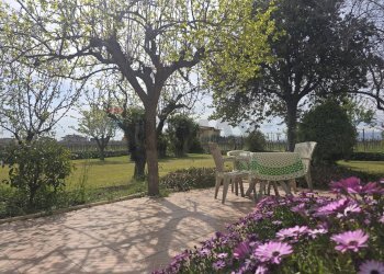 Giardino - Casa indipendente Via Cesare Licini
 
105, Ortona - foto 12