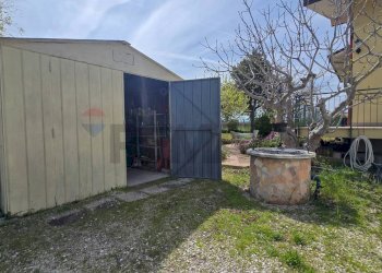 Giardino - Casa indipendente Via Cesare Licini
 
105, Ortona - foto 17