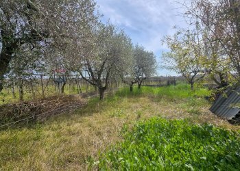 Giardino - Casa indipendente Via Cesare Licini
 
105, Ortona - foto 20