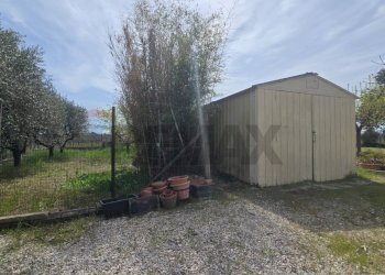 Giardino - Casa indipendente Via Cesare Licini
 
105, Ortona - foto 21