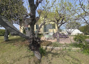 Giardino - Casa indipendente Via Cesare Licini
 
105, Ortona - foto 48