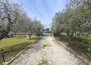 Giardino - Casa indipendente Via Cesare Licini
 
105, Ortona - foto 49